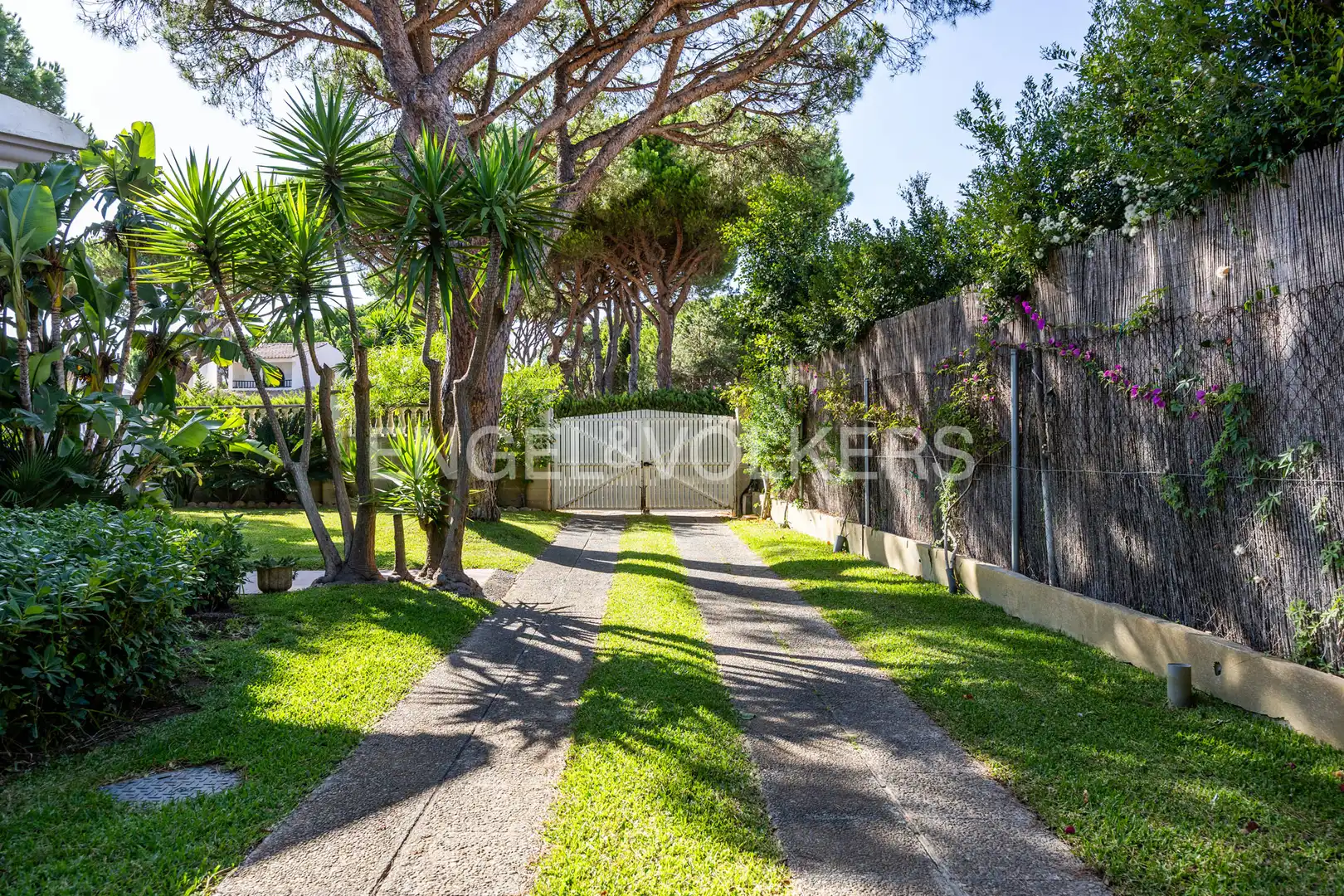 Vista exterior de Casa o xalet en venda en Conil de la Frontera amb Aire condicionat, Calefacció i Jardí privat