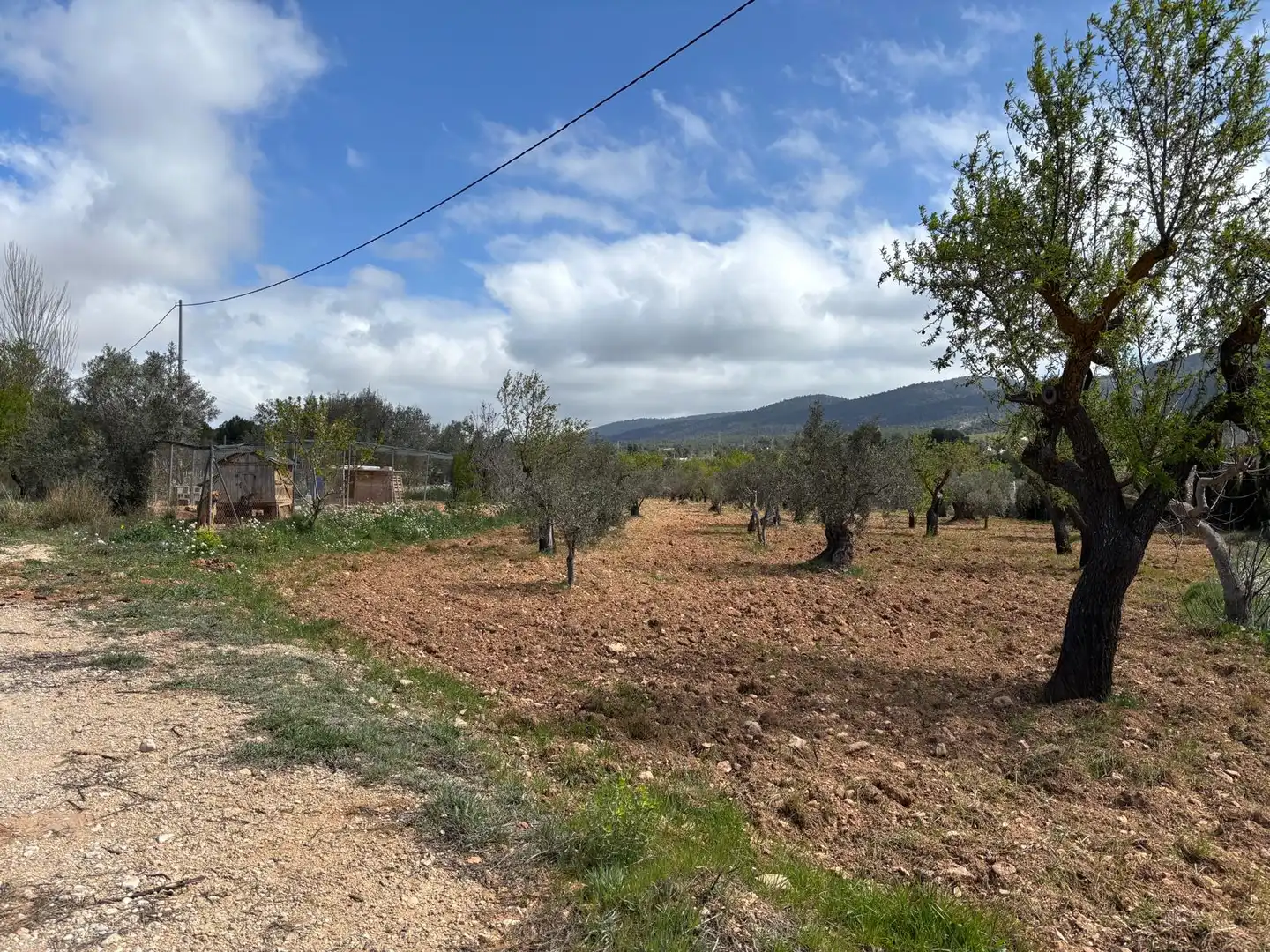 Terreno rústico en venta en CV-806, imagen 5