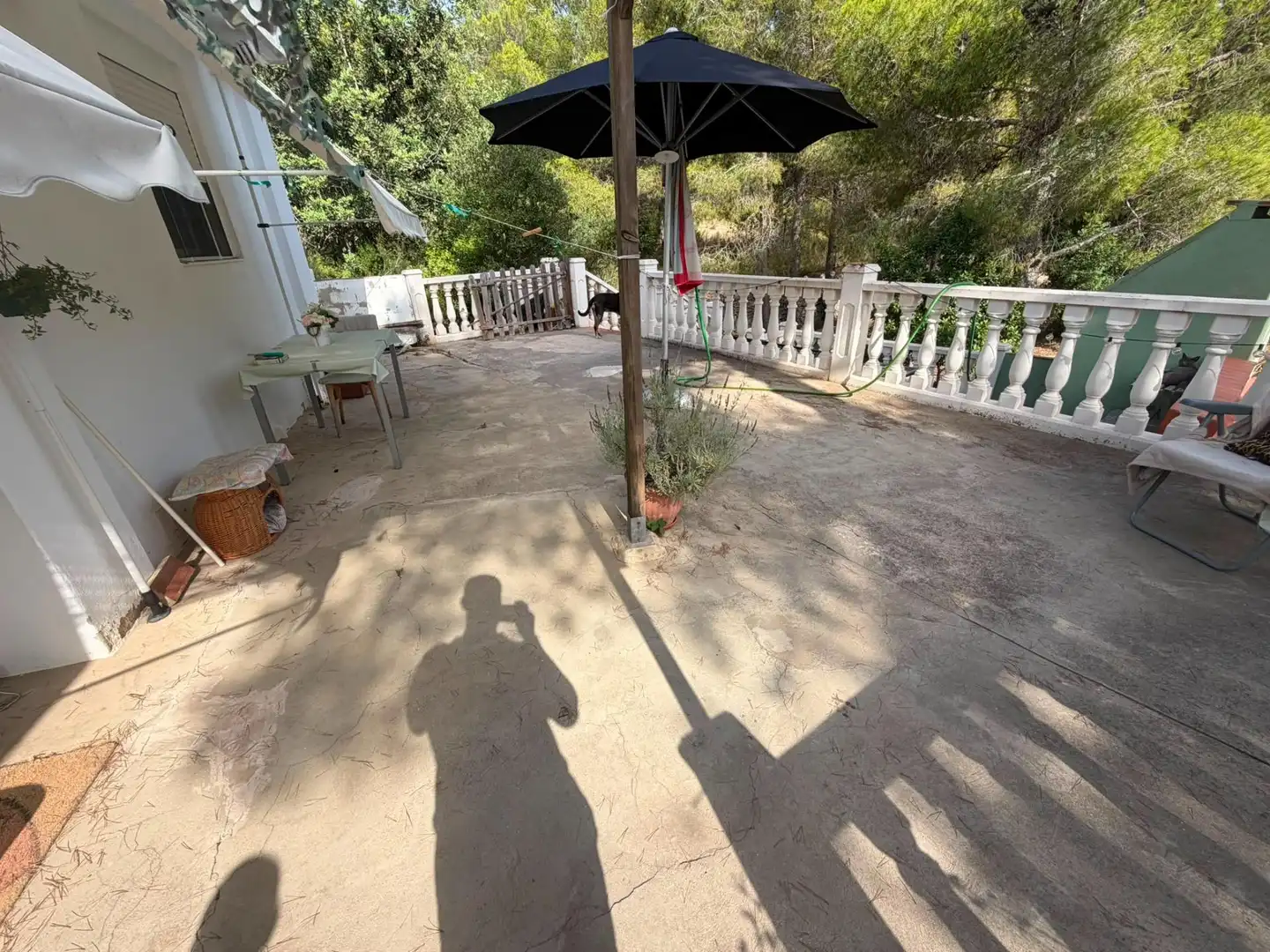 Detached house for sale in Montserrat, imagen 12