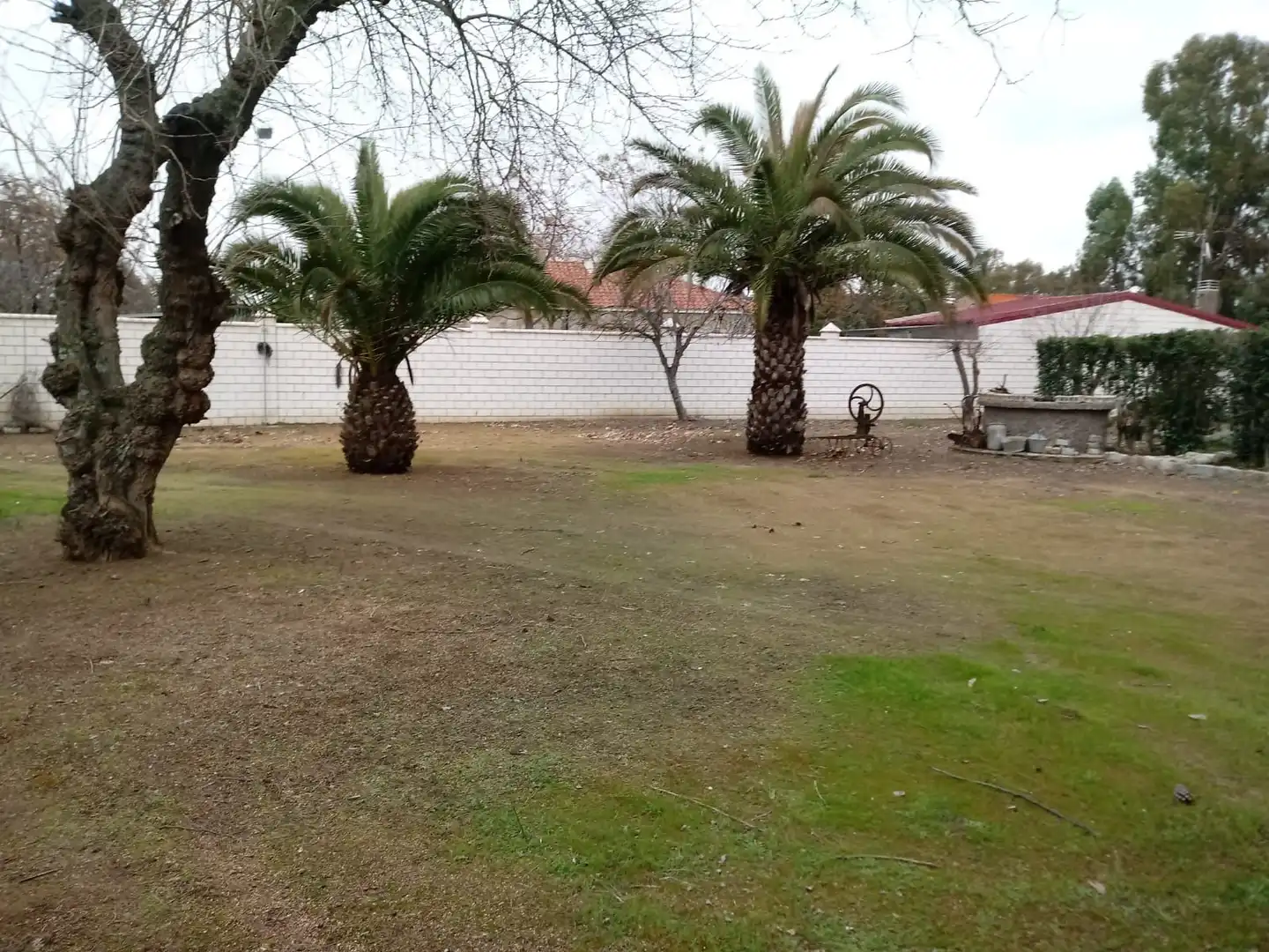 Chalet con piscina en venta en Villanueva de la Serena, imagen 9