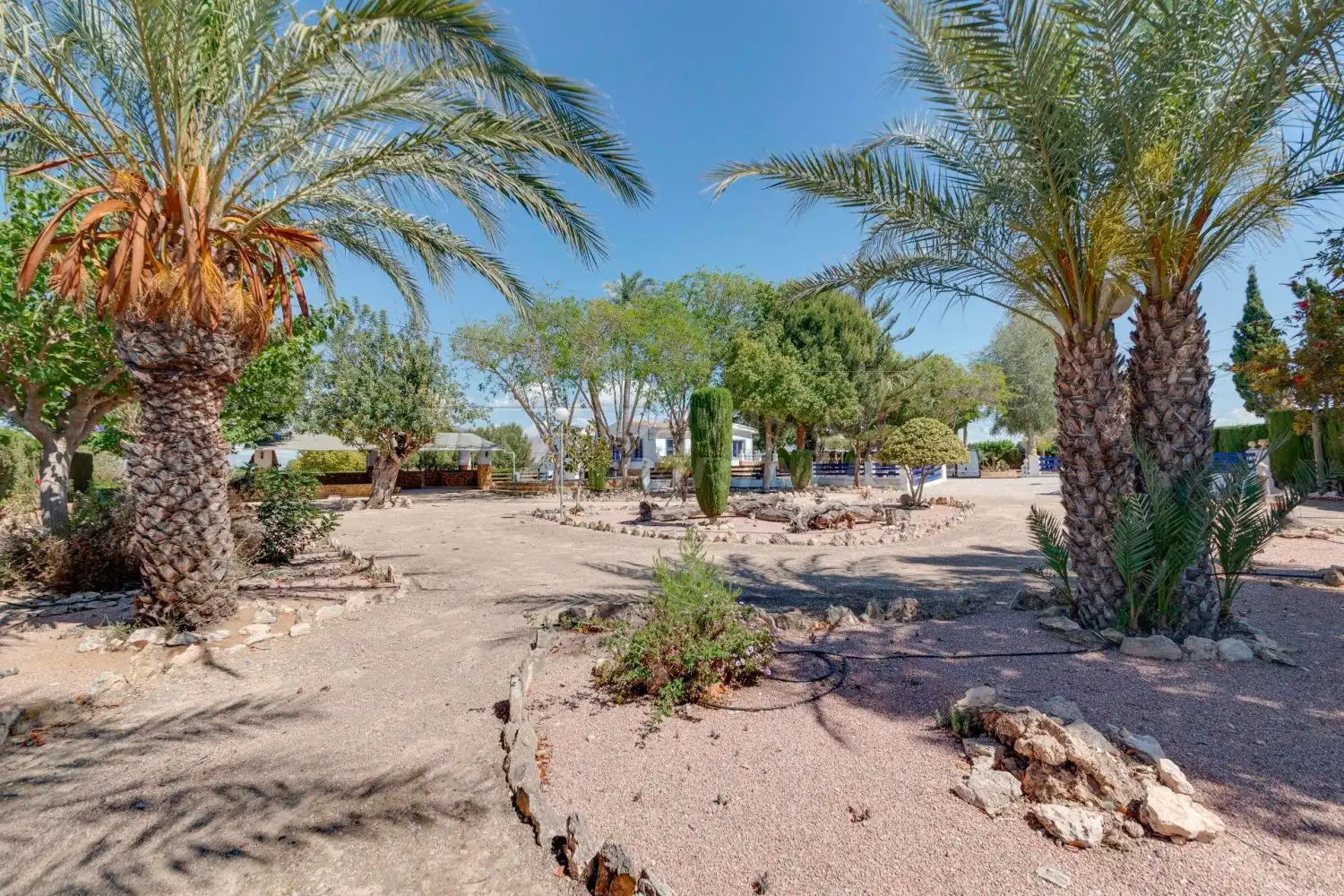 Villa con giardino in vendita a Algorfa, imagen 17