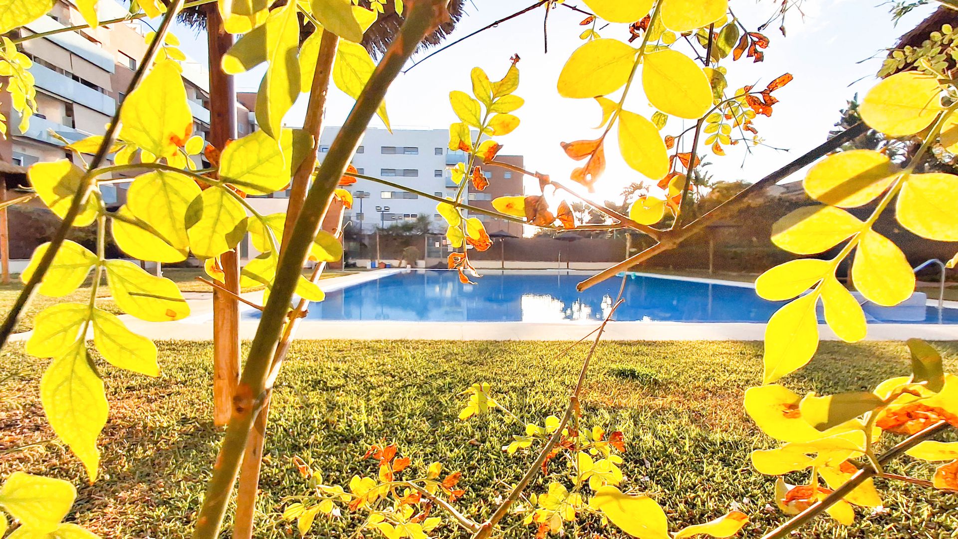 Piscina de Pis en venda en Jerez de la Frontera amb Aire condicionat, Terrassa i Traster