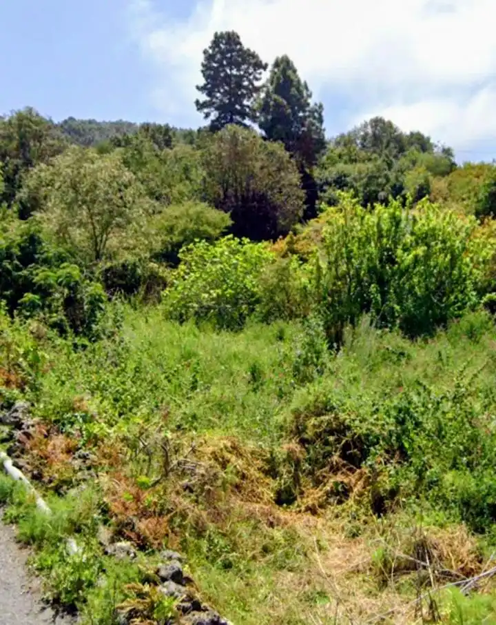Rural land for sale in La Vega - El Amparo - Cueva del Viento, imagen 21