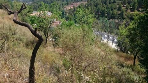 Foto 3 de Terreno en venta en Cm I Más Astarros, Castellbell i el Vilar, Barcelona