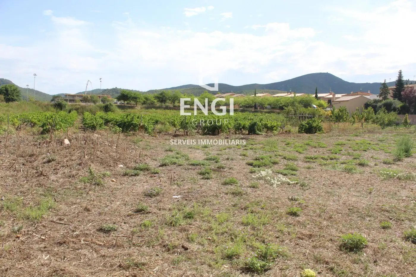 Terreny rústic en venda a esglesia de l', imagen 4