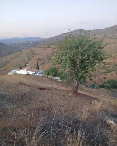 Finca rústica en venda a N/A, -1, Almogía