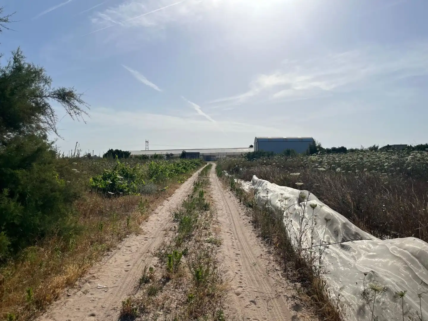 Finca rústica en venta en Utrera
