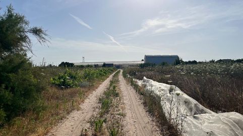 Foto 3 de Finca rústica en venda a Pedanías Norte, Utrera