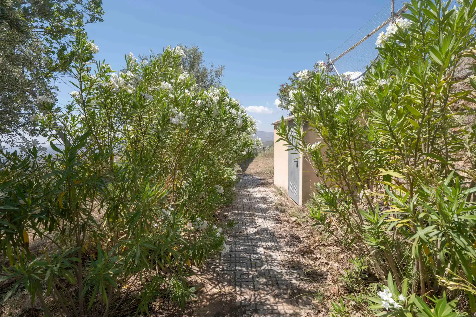 Casa o chalet en venta en Válor con Calefacción, Jardín privado y Terraza