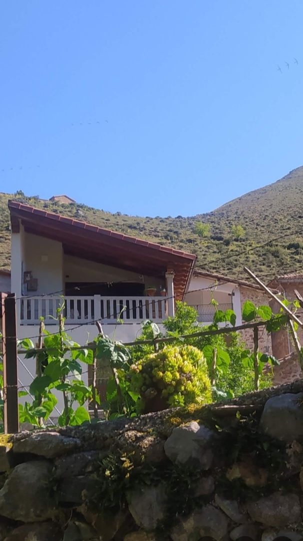 Vista exterior de Casa o xalet en venda en Brieva de Cameros