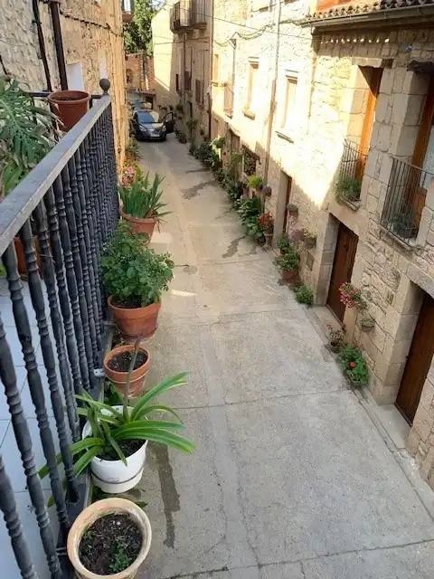 Vista exterior de Piso en venta en Vinaixa con Aire acondicionado, Calefacción y Amueblado