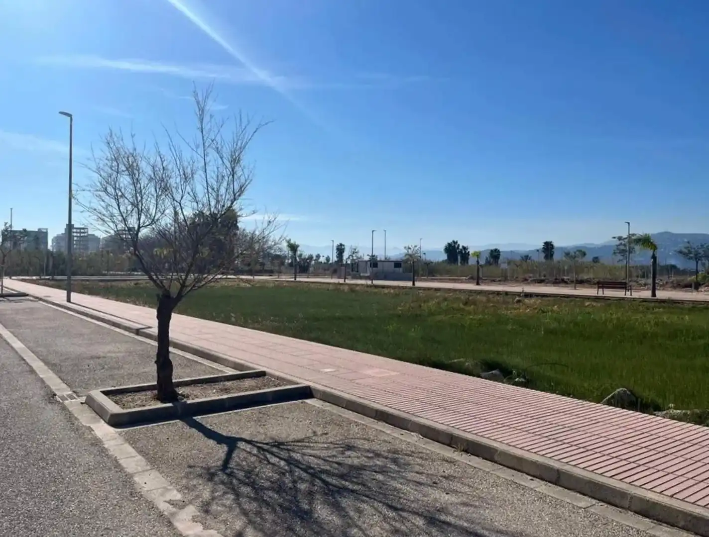 Terreny residencial en venda a Piles, imagen 5