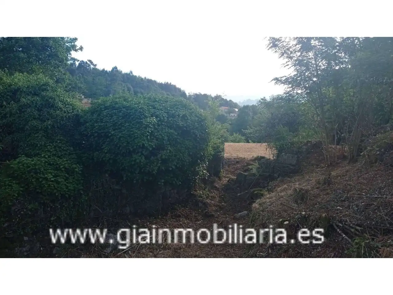 Terrenys i solars en venda a Calle Arcos, imagen 7