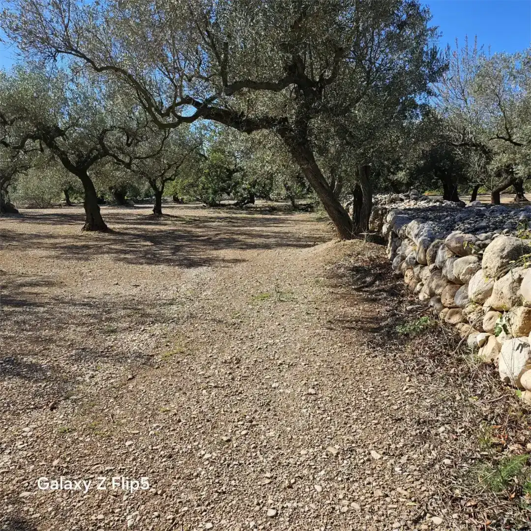 Grundstücke zum Verkauf in La Galera , Tarragona