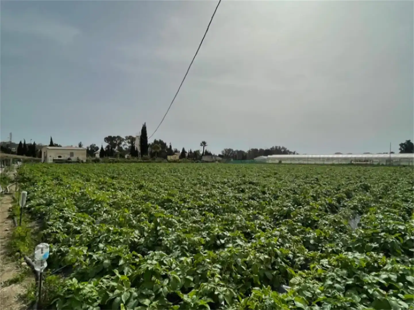Finca rústica en venda en Algarrobo