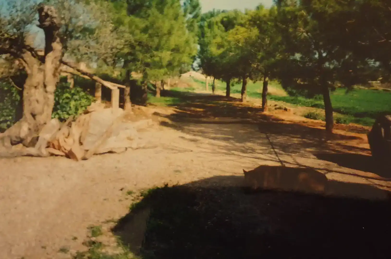 Terreno en venta en Manresa