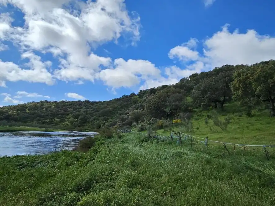 Terreno rustico in vendita a BA-135 107, imagen 4