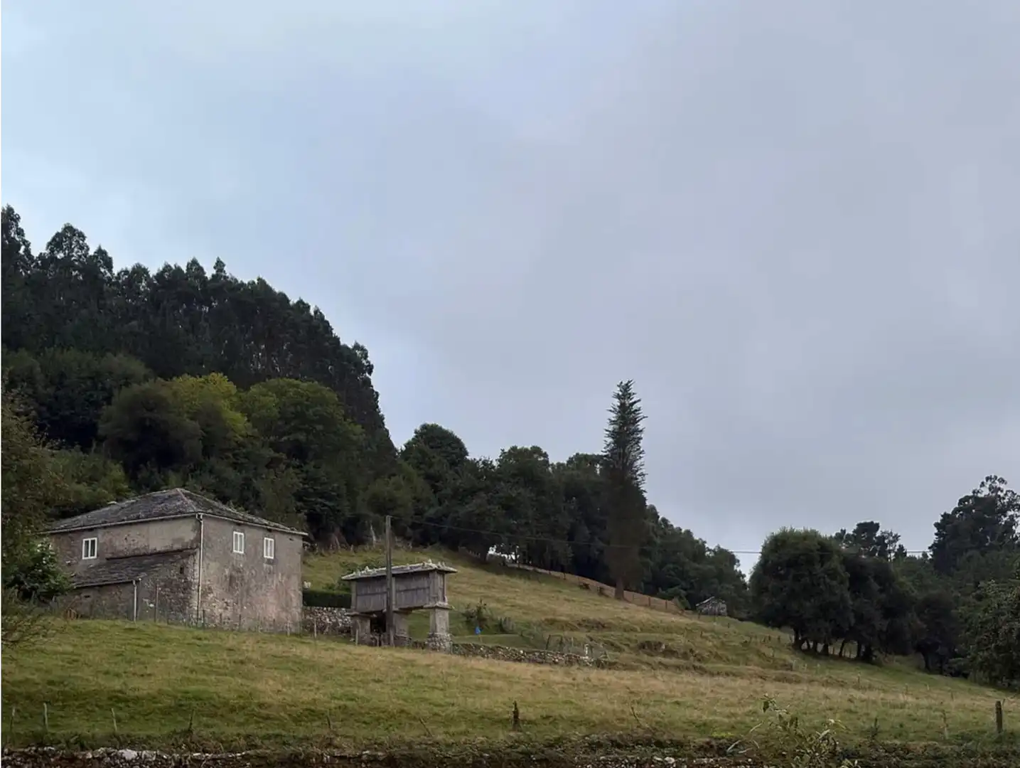 Vista exterior de Finca rústica en venda en Viveiro amb Jardí privat
