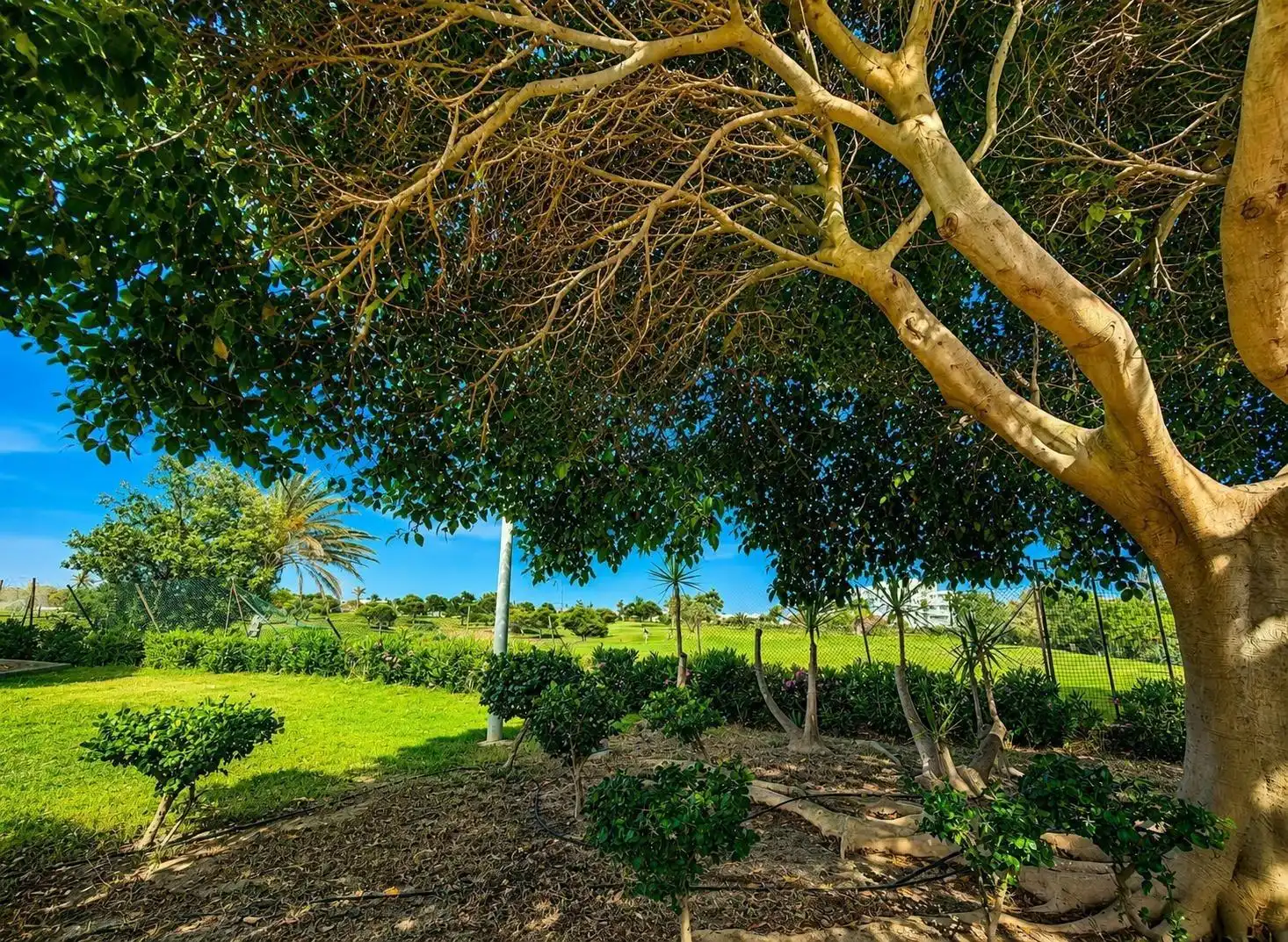 Ático en venta en Almería con Aire acondicionado, Calefacción y Jardín privado