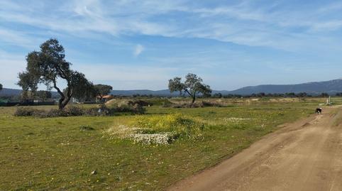 Photo 3 of Land for sale in Ruta de la Plata, Cáceres
