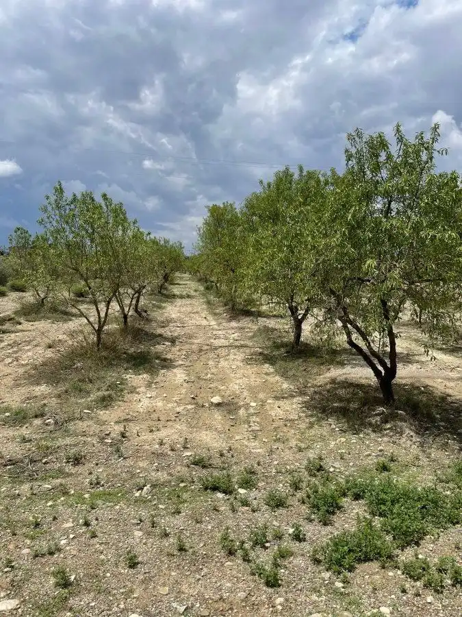 Terrenys i solars en venda a Huércal-Overa, imagen 9