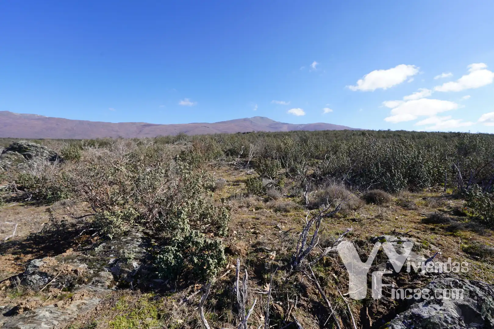 Terreno rústico en venta en Campillo de Ranas, imagen 21