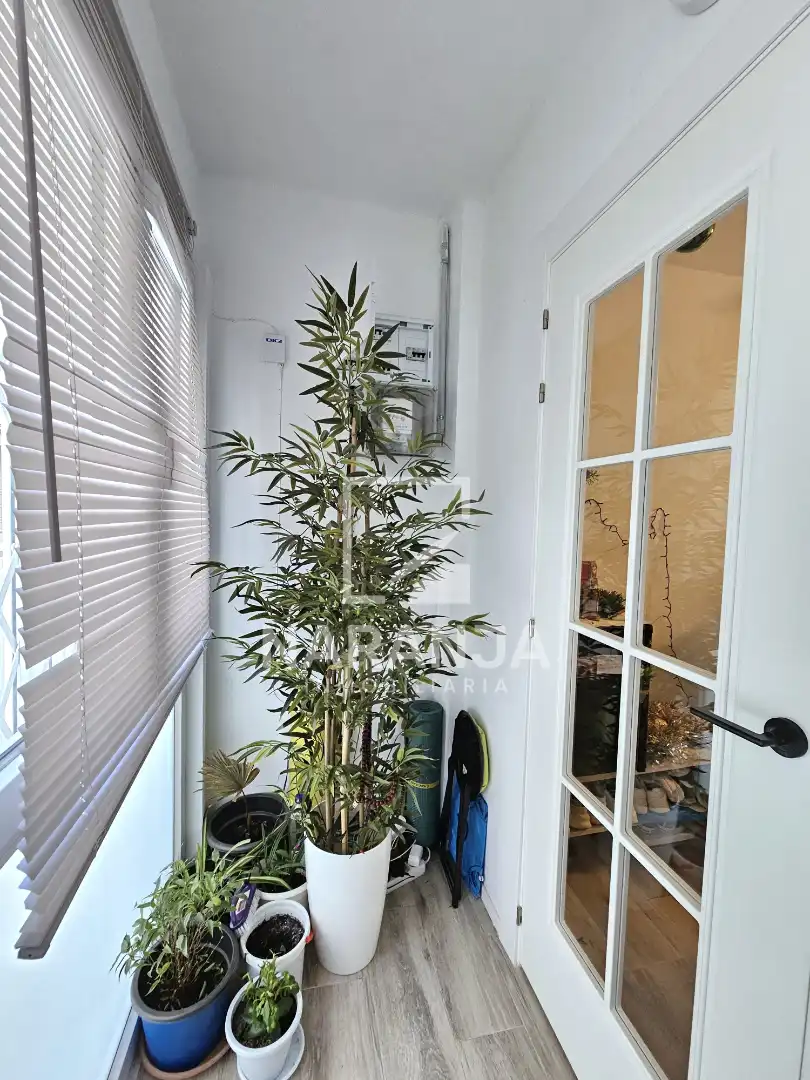 Wohnung zum Verkauf in Trinitat Vella