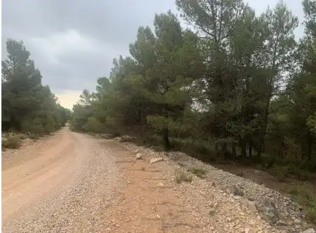 Rustikales Grundstück zum Verkauf in Paraje Fuentecil, imagen 6