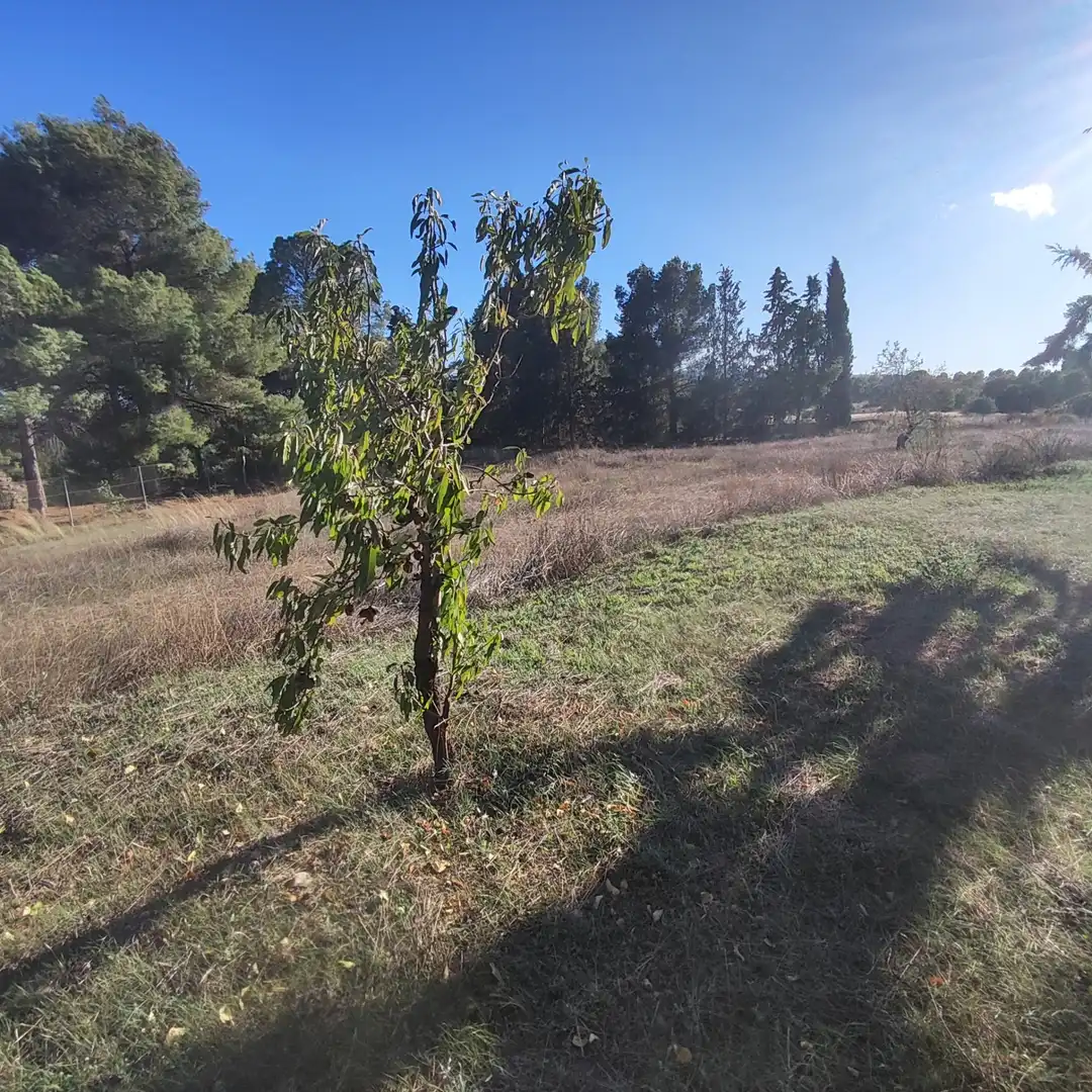 Houses for sale in Totana  with Terrace, Furnished and Oven