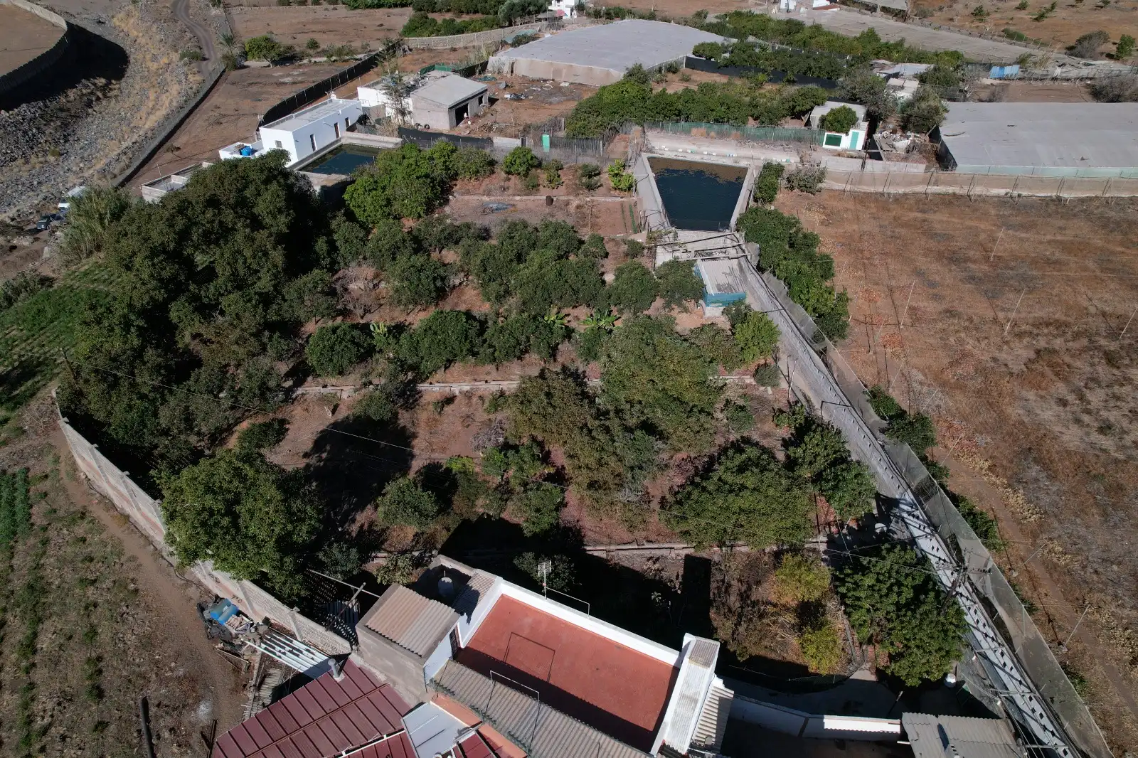 Casa rústica con jardín en venta en La Aldea de San Nicolás, imagen 11