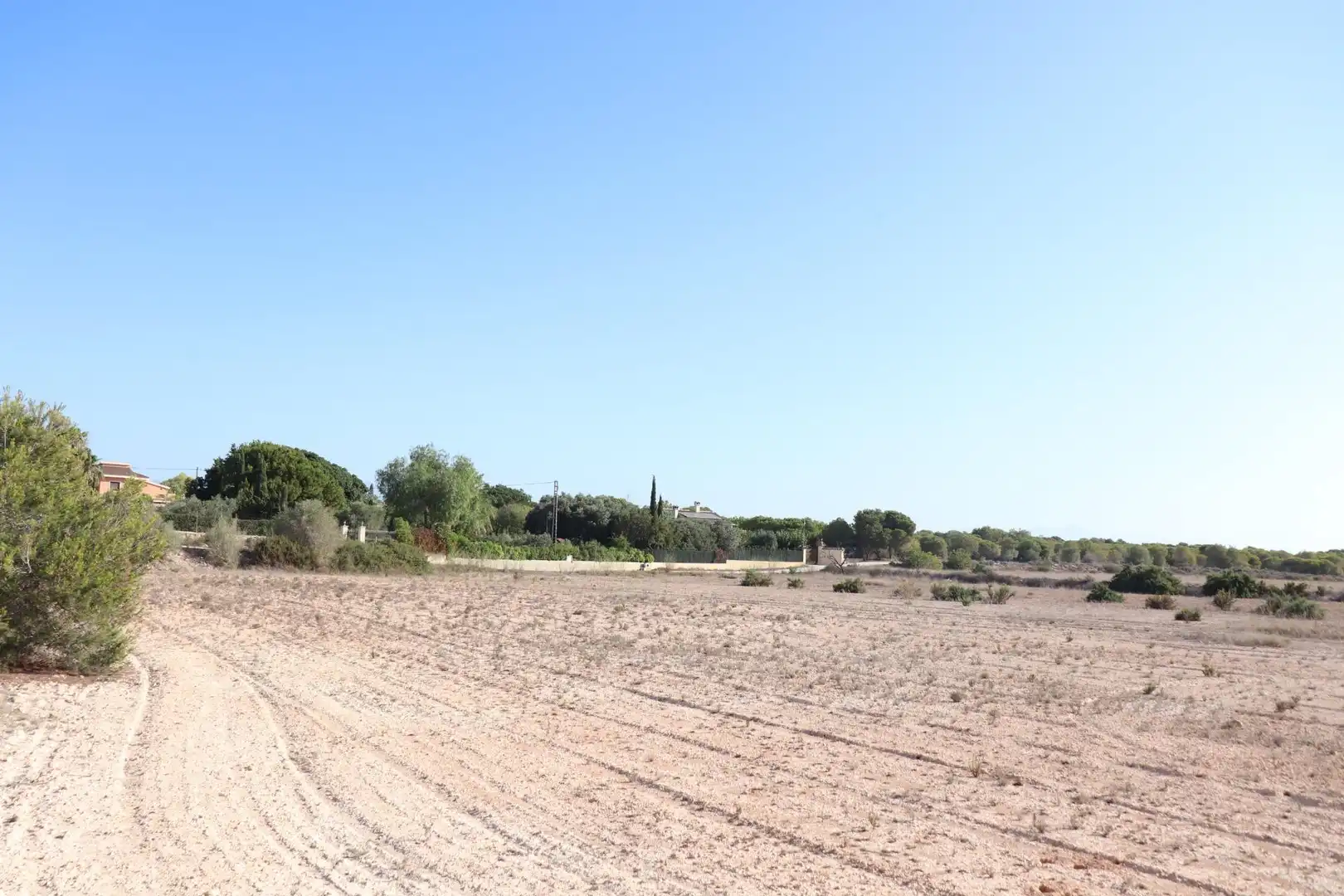 Terrain rustique à vendre à Valverde, imagen 3