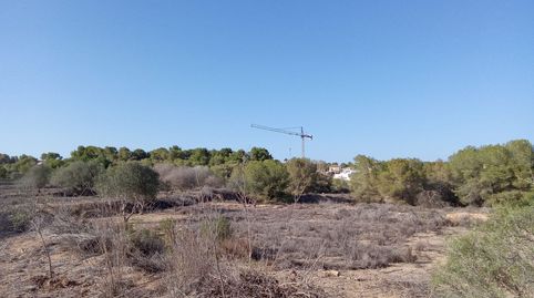 SE VENDE TERRENO RUSTICO CON MATORRAL Y REGADIO, imatge 2