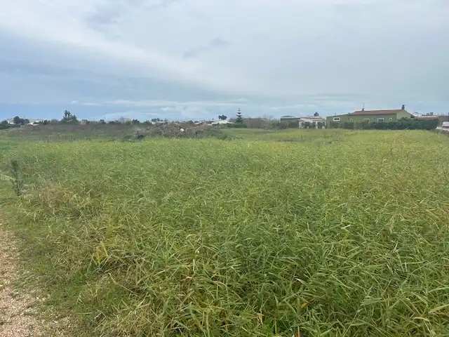 Rural land for sale in Fortaleny, imagen 3