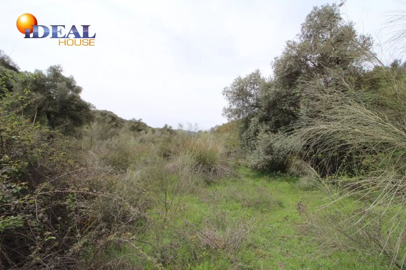 Country homes for sale in Víznar