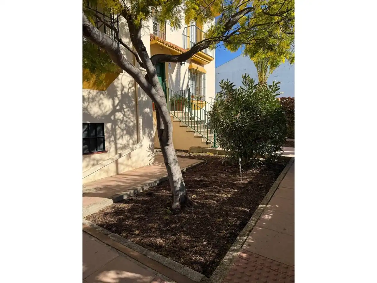 Exterior view of Houses for sale in Úbeda  with Heating, Private garden and Terrace