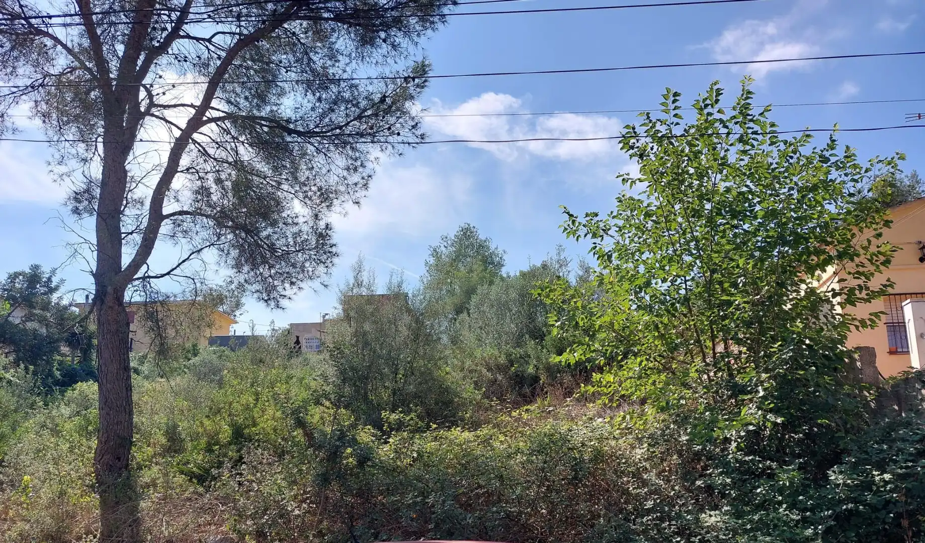 Terrenos y solares en venta en Canyelles, imagen 2
