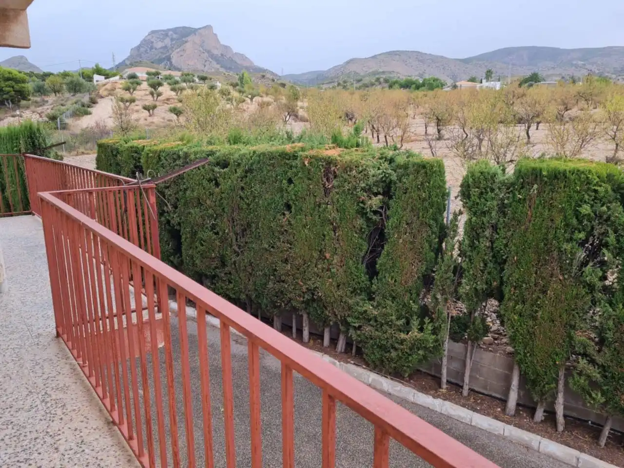 Terraza de Casa o chalet en venta en Petrer con Jardín privado, Terraza y Piscina
