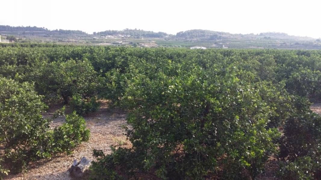 Country house for sale in Montroy  with Private garden, Terrace and Storage room
