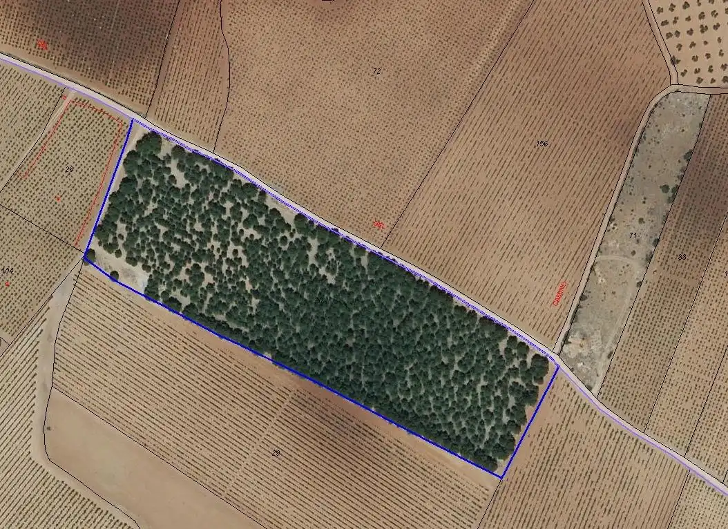 Rural land for sale in Valdepeñas