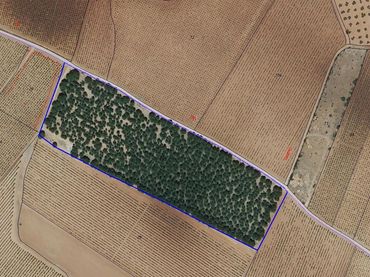 Rustikales Grundstück zum Verkauf in Valdepeñas