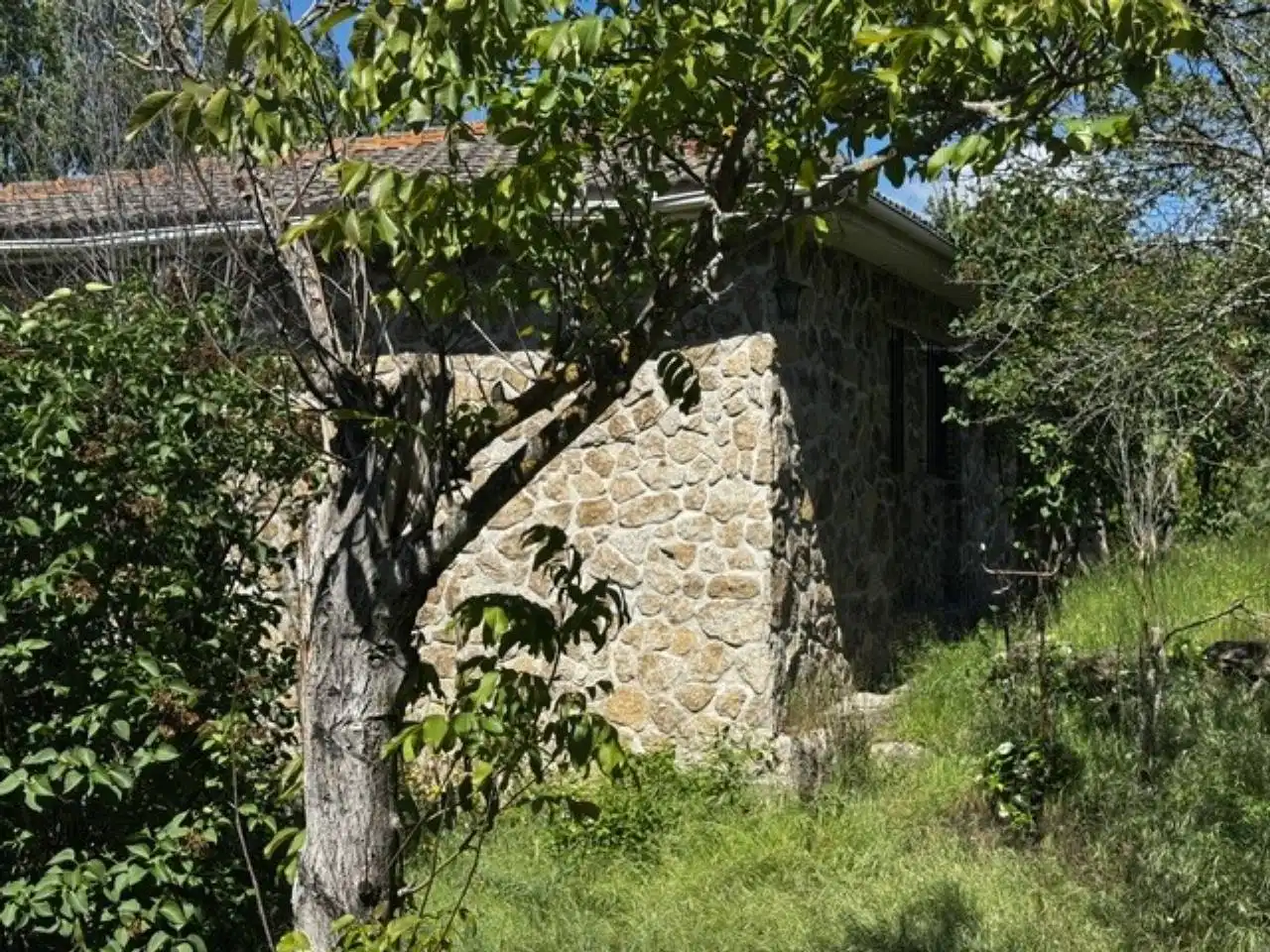 Exterior view of Houses for sale in Villavieja del Lozoya  with Private garden, Terrace and Swimming Pool
