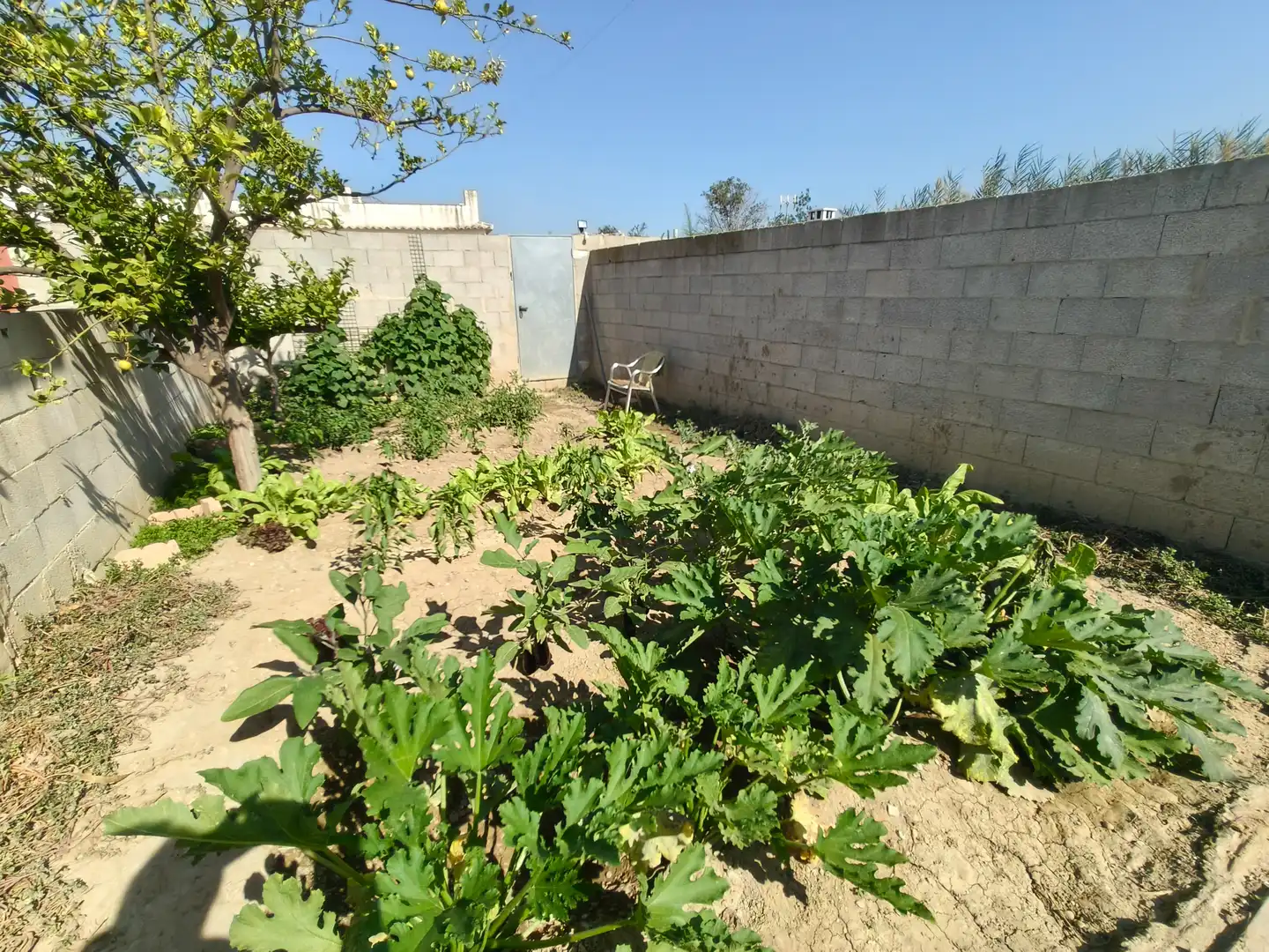Jardín de Casa o chalet en venta en Montroi / Montroy con Jardín privado, Terraza y Trastero