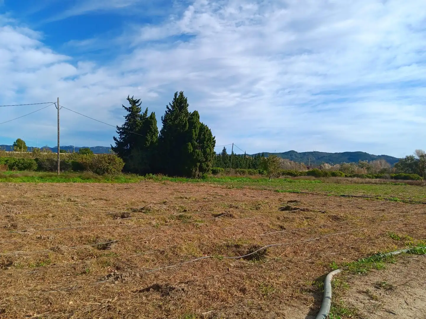 Maison à vendre à Roquetes, imagen 7