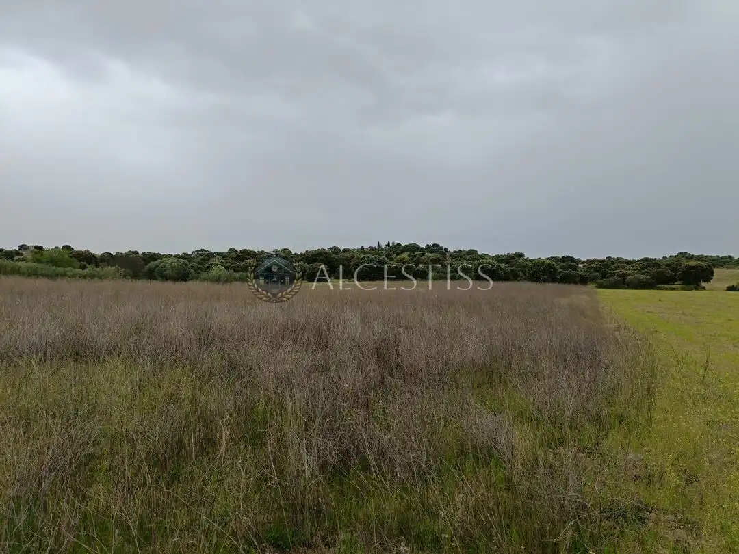 Terreno rústico en venta en Aldea del Fresno