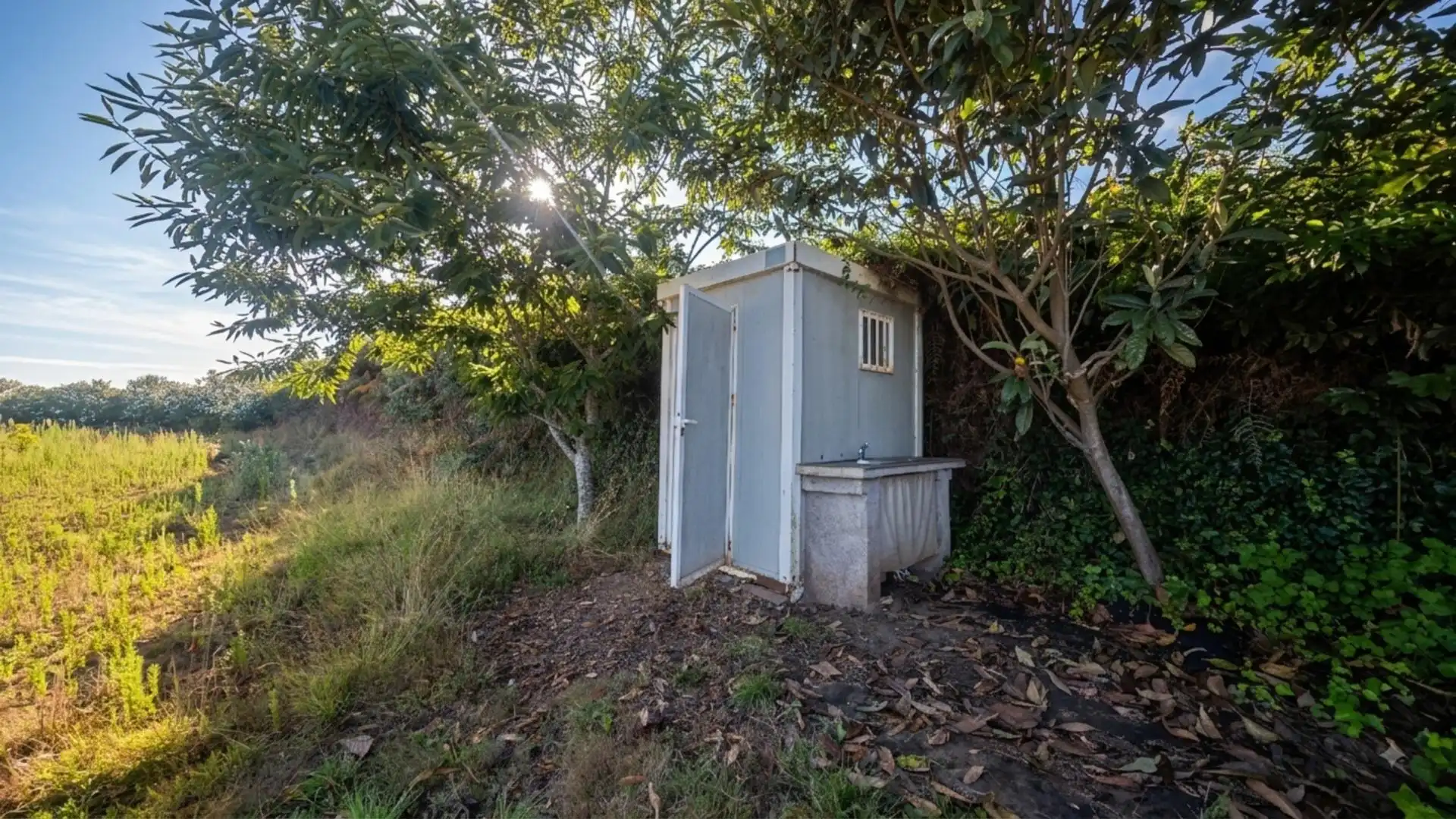 Vista exterior de Finca rústica en venda en Los Realejos