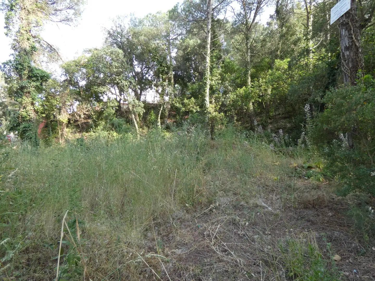 Wohnbaugrundstück zum Verkauf in Poble, imagen 2