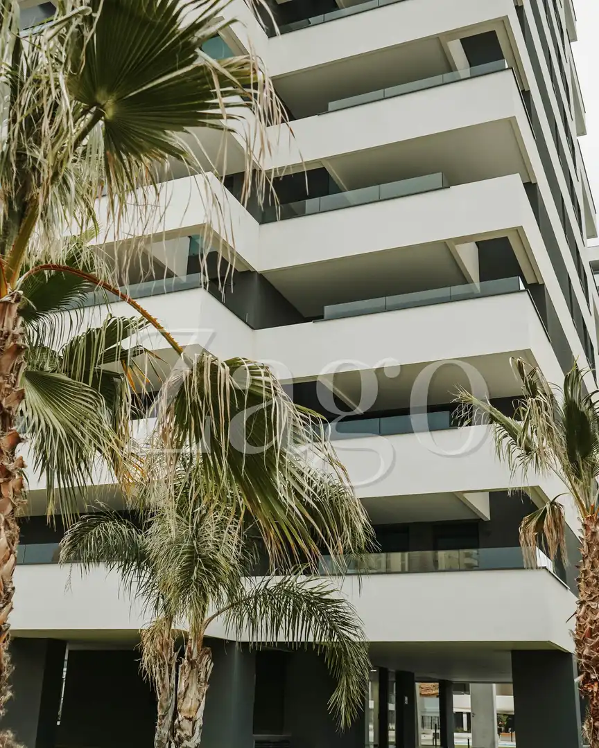 Àtic amb piscina en venda a Marisol Park - Ortembach - Los Almendros, imagen 4