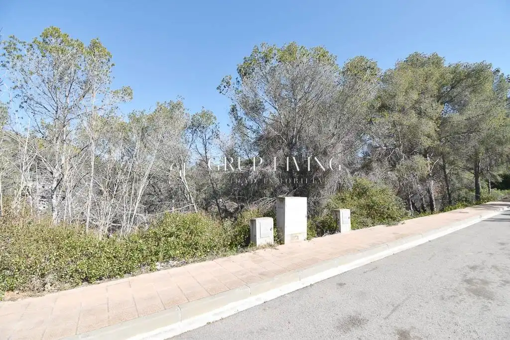 Residential land for sale in Mas Alba, imagen 10
