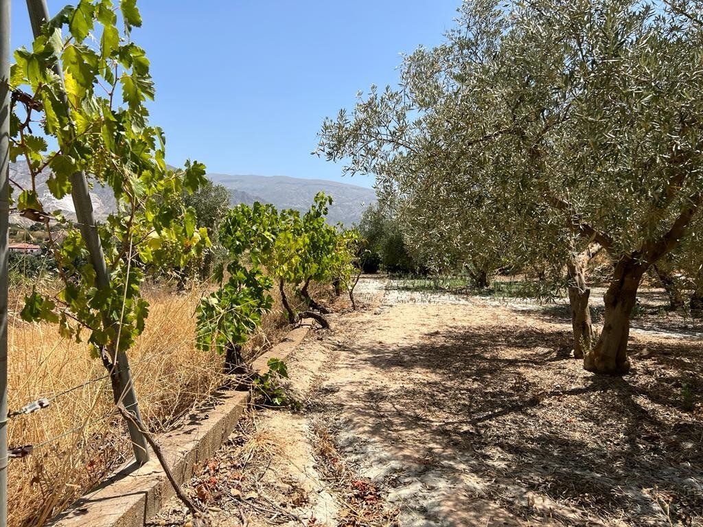 Country house zum verkauf in Villamena