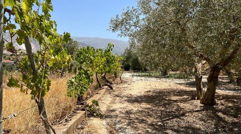 Finca de Recreo en Cozvijar, imatge 2